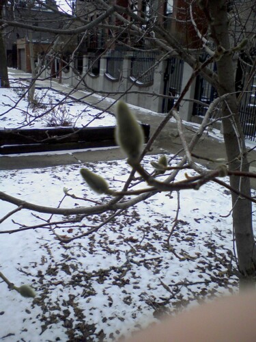 First signs of Spring!